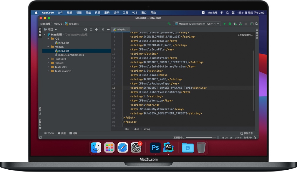 AppCode for Mac 2020 适用于iOS/macOS开发的智能IDE 破解版下载