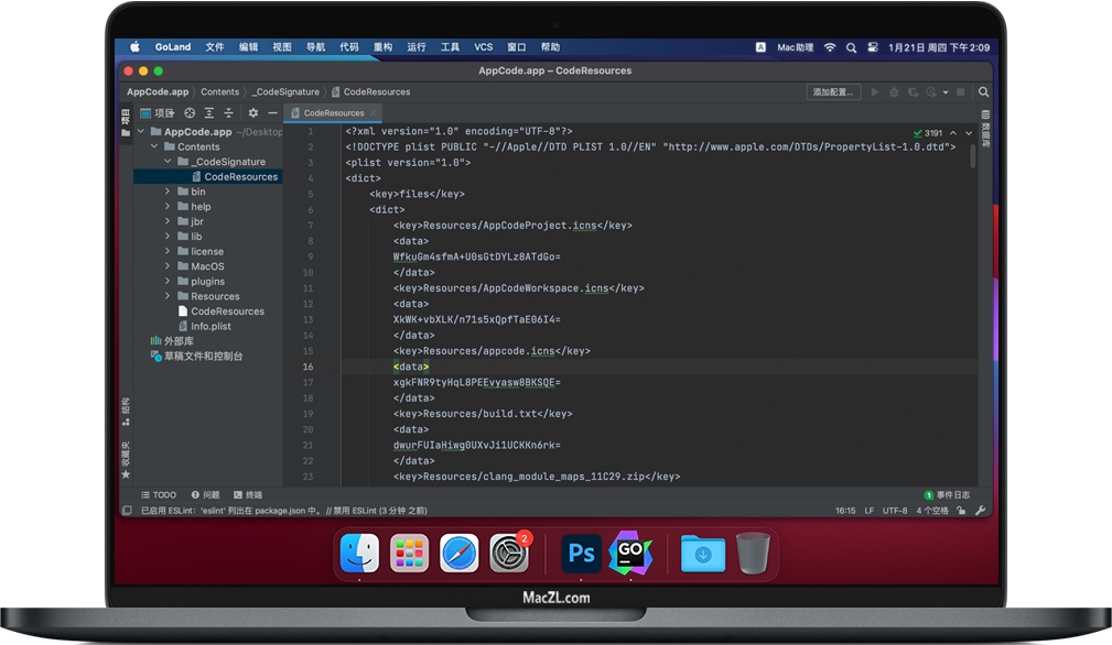 GoLand for Mac 苹果Go语言开发环境 中文汉化破解版下载 