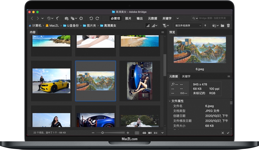 Bridge 2021 for Mac 数字资产管理软件 中文一键安装版下载