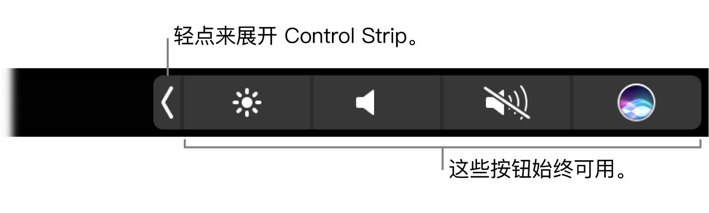 默认 Multi-Touch Bar 的部分屏幕，上面显示压缩的 Control Strip。 轻点展开按钮以显示完整的 Control Strip