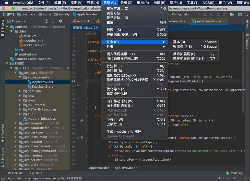 IntelliJ IDEA Mac v2019.2.4 Java开发工具 中文汉化版下载