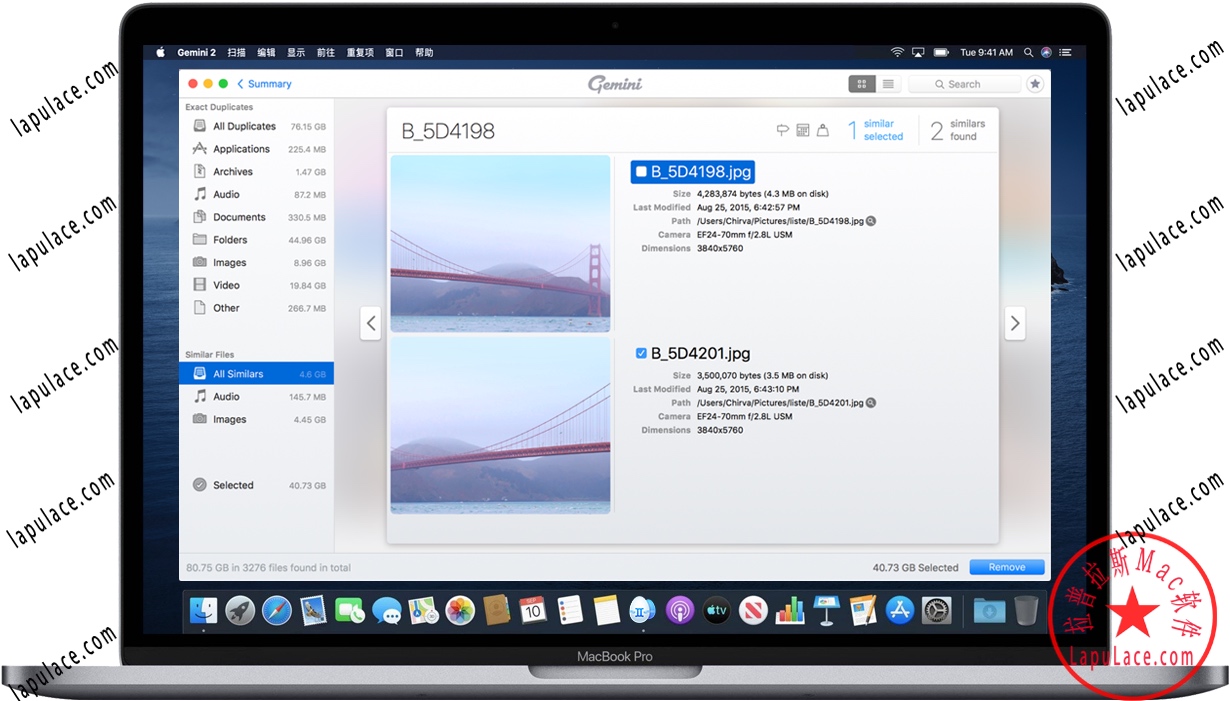 Gemini 2 for Mac 苹果电脑重复文件查找器 中文破解版下载